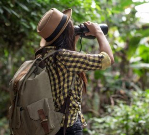 Turismo de conservación y avistamiento de aves