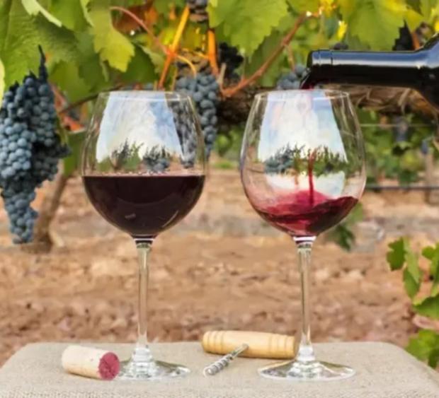 Entre Ríos, Entre Viñas
