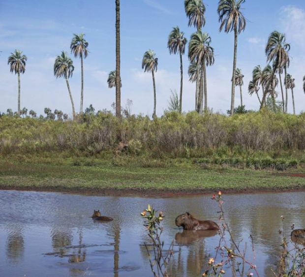 El Museo Serrano en El Palmar